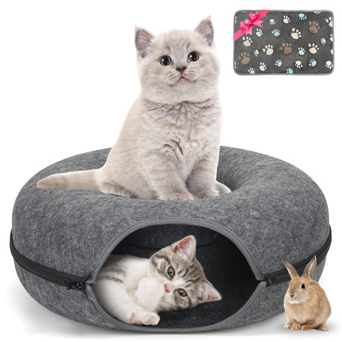 Wayfair Round Cat Beds You'll Love in 2024